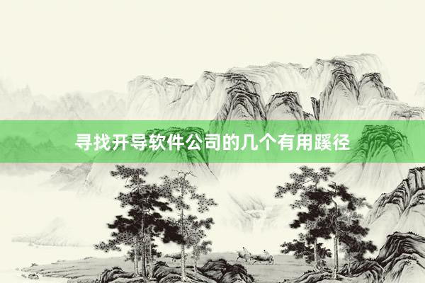 寻找开导软件公司的几个有用蹊径